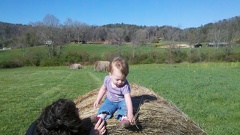 2011-04-02 17-08-17 20