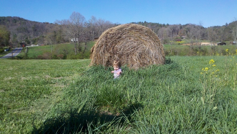 2011-04-02 17-07-53 3