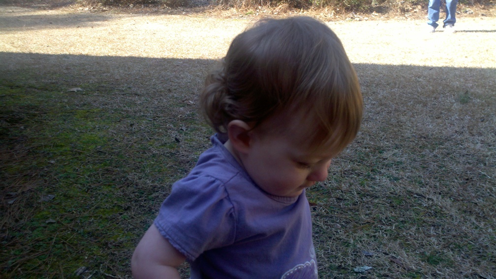 2011-02-19 11-31-52 457