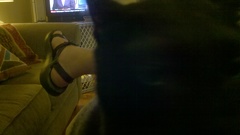 2011-05-01 19-25-16 800