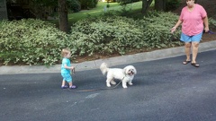 2011-07-11 19-05-51 581