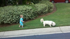 2011-07-11 19-06-13 972