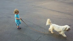 2011-07-11 19-07-13 656