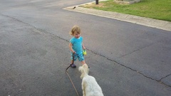 2011-07-11 19-07-24 455