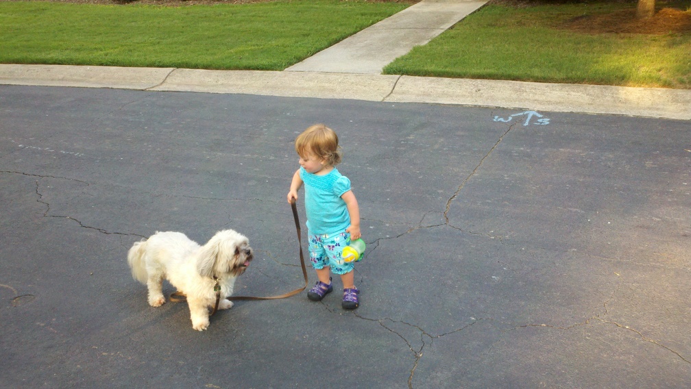 2011-07-11 19-07-59 311