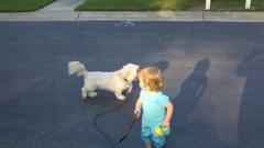 2011-07-11 19-08-03 560