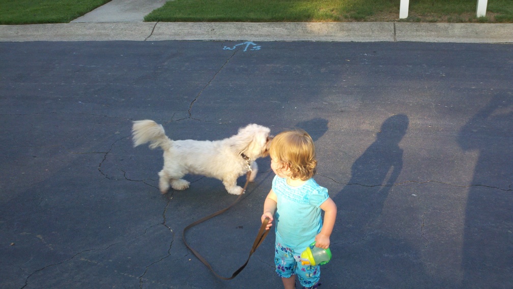 2011-07-11 19-08-03 560