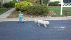 2011-07-11 19-08-45 959