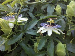 2011-07-17 20-04-05 711