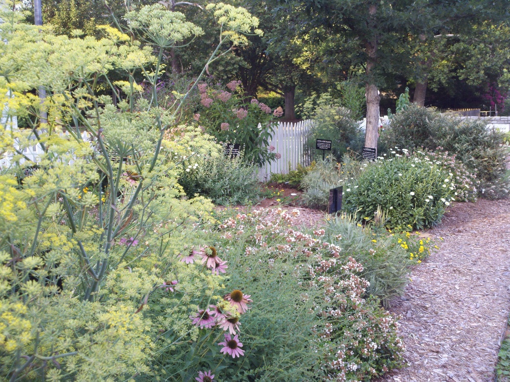 2011-07-17 20-04-41 198