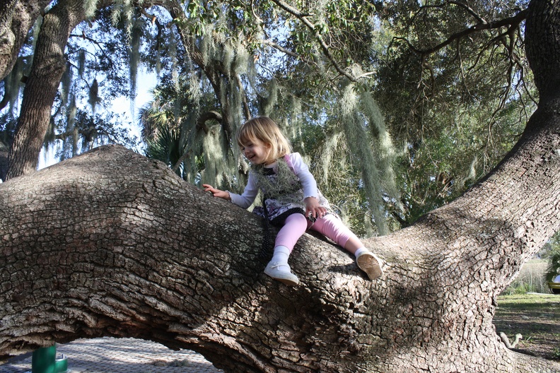 2012-12-31 04.00.55.jpg