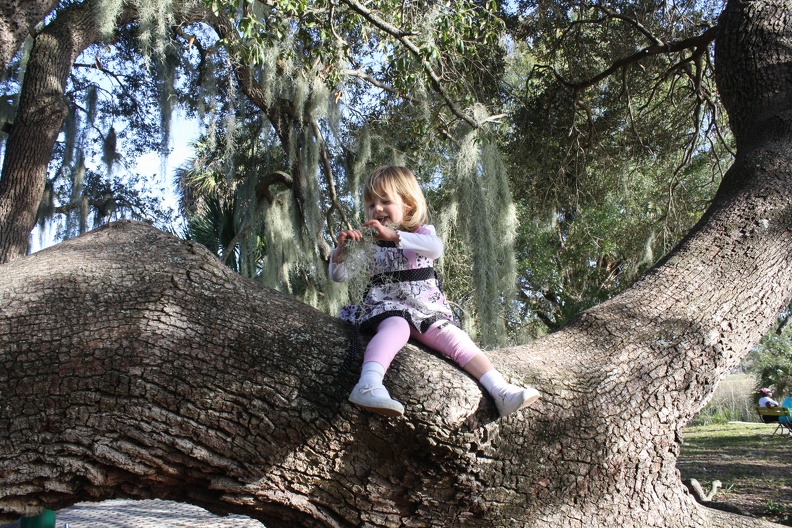 2012-12-31 04.01.06.jpg