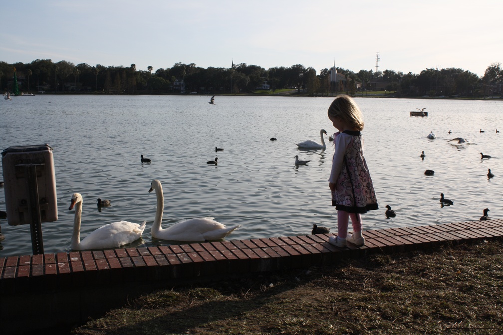 2012-12-31 04.23.04-2