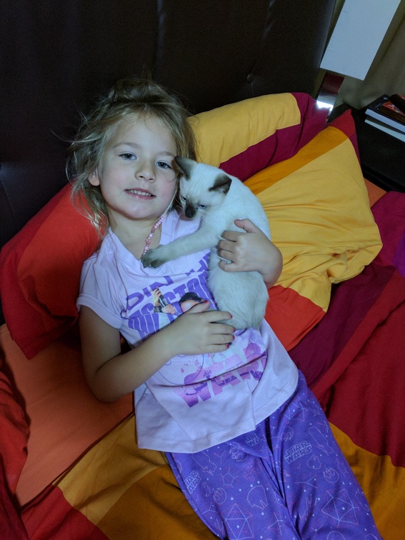 IMG 20170814 081015